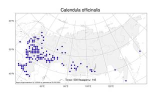 Calendula officinalis L., Atlas of the Russian Flora (FLORUS) (Russia)