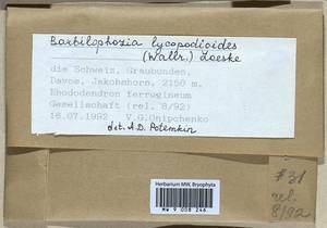 Barbilophozia lycopodioides (Wallr.) Loeske, Bryophytes, Bryophytes - Western Europe (BEu) (Switzerland)