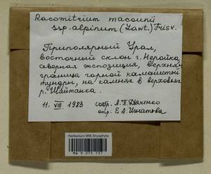 Bucklandiella macounii subsp. alpina (E. Lawton) Bedn.-Ochyra & Ochyra, Bryophytes, Bryophytes - Western Siberia (including Altai) (B15) (Russia)