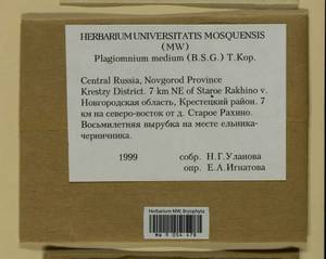 Plagiomnium medium (Bruch & Schimp.) T.J. Kop., Bryophytes, Bryophytes - Novgorod & Pskov Oblasts (B5) (Russia)