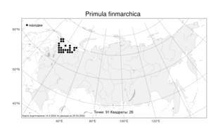 Primula nutans Georgi, Atlas of the Russian Flora (FLORUS) (Russia)