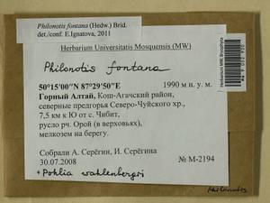 Pohlia wahlenbergii (F. Weber & D. Mohr) A.L. Andrews, Bryophytes, Bryophytes - Western Siberia (including Altai) (B15) (Russia)