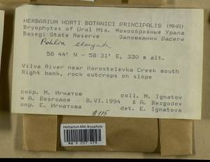 Pohlia elongata Hedw., Bryophytes, Bryophytes - Permsky Krai, Udmurt Republic, Sverdlovsk & Kirov Oblasts (B8) (Russia)