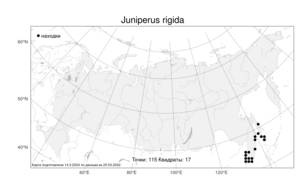 Juniperus rigida Siebold & Zucc., Atlas of the Russian Flora (FLORUS) (Russia)