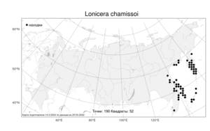 Lonicera chamissoi Bunge, Atlas of the Russian Flora (FLORUS) (Russia)
