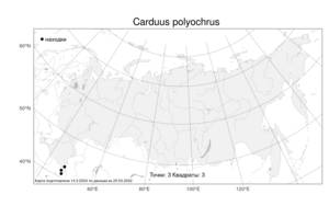 Carduus polyochrus, Carduus poliochrus Trautv., Atlas of the Russian Flora (FLORUS) (Russia)