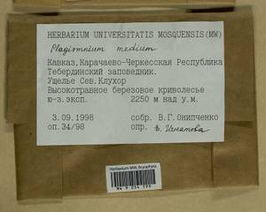Plagiomnium medium (Bruch & Schimp.) T.J. Kop., Bryophytes, Bryophytes - North Caucasus & Ciscaucasia (B12) (Russia)