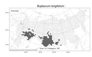 Bupleurum longifolium L., Atlas of the Russian Flora (FLORUS) (Russia)