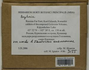 Bryhnia, Bryophytes, Bryophytes - Russian Far East (excl. Chukotka & Kamchatka) (B20) (Russia)