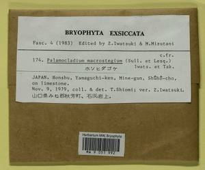 Palamocladium leskeoides (Hook.) E. Britton, Bryophytes, Bryophytes - Asia (outside ex-Soviet states) (BAs) (Japan)