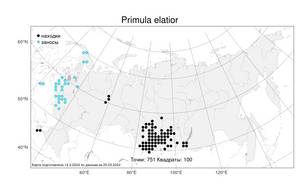 Primula elatior (L.) L., Atlas of the Russian Flora (FLORUS) (Russia)