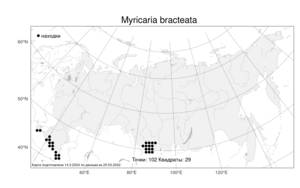 Myricaria bracteata Royle, Atlas of the Russian Flora (FLORUS) (Russia)