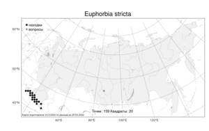 Euphorbia stricta L., Atlas of the Russian Flora (FLORUS) (Russia)