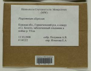 Plagiomnium ellipticum (Brid.) T.J. Kop., Bryophytes, Bryophytes - Central forest-and-steppe region (B10) (Russia)