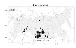Lathyrus gmelinii (Fisch. ex Ser.) Fritsch, Atlas of the Russian Flora (FLORUS) (Russia)
