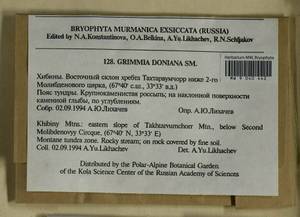 Grimmia donniana Sm., Bryophytes, Bryophytes - Karelia, Leningrad & Murmansk Oblasts (B4) (Russia)