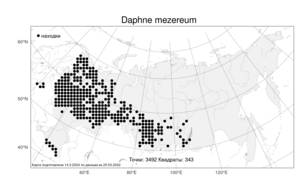 Daphne mezereum L., Atlas of the Russian Flora (FLORUS) (Russia)