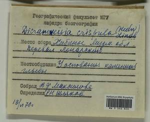 Hymenoloma crispulum (Hedw.) Ochyra, Bryophytes, Bryophytes - Karelia, Leningrad & Murmansk Oblasts (B4) (Russia)