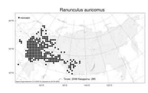 Ranunculus auricomus L., Atlas of the Russian Flora (FLORUS) (Russia)