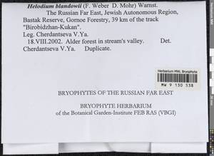 Helodium blandowii (F. Weber & D. Mohr) Warnst., Bryophytes, Bryophytes - Russian Far East (excl. Chukotka & Kamchatka) (B20) (Russia)