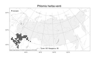 Phlomis herba-venti L., Atlas of the Russian Flora (FLORUS) (Russia)