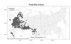 Potentilla erecta (L.) Raeusch., Atlas of the Russian Flora (FLORUS) (Russia)