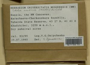 Pohlia nutans (Hedw.) Lindb., Bryophytes, Bryophytes - North Caucasus & Ciscaucasia (B12) (Russia)