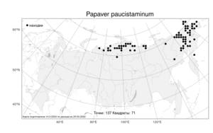 Papaver paucistaminum Tolm. & V. V. Petrovsky, Atlas of the Russian Flora (FLORUS) (Russia)