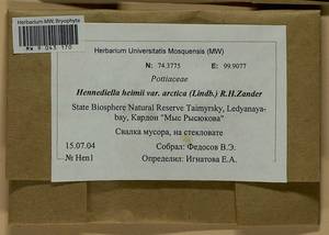 Hennediella heimii (Hedw.) R.H. Zander, Bryophytes, Bryophytes - Krasnoyarsk Krai, Tyva & Khakassia (B17) (Russia)