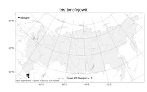 Iris timofejewii Woronow, Atlas of the Russian Flora (FLORUS) (Russia)