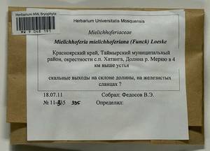 Mielichhoferia mielichhoferiana (Funck) Loeske, Bryophytes, Bryophytes - Krasnoyarsk Krai, Tyva & Khakassia (B17) (Russia)