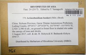 MW 9 111 239, Actinothuidium hookeri (Mitt.) Broth., Bryophytes, Bryophytes - Asia (outside ex-Soviet states) (BAs) (China)