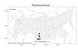 Thymus proximus Serg., Atlas of the Russian Flora (FLORUS) (Russia)