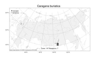 Caragana buriatica Peschkova, Atlas of the Russian Flora (FLORUS) (Russia)