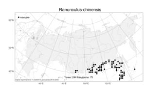 Ranunculus chinensis Bunge, Atlas of the Russian Flora (FLORUS) (Russia)