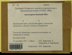 Anoectangium stracheyanum Mitt., Bryophytes, Bryophytes - Russian Far East (excl. Chukotka & Kamchatka) (B20) (Russia)