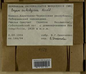 Rosulabryum moravicum (Podp.) Ochyra & Stebel, Bryophytes, Bryophytes - North Caucasus & Ciscaucasia (B12) (Russia)
