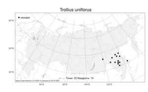 Trollius uniflorus Sipliv., Atlas of the Russian Flora (FLORUS) (Russia)