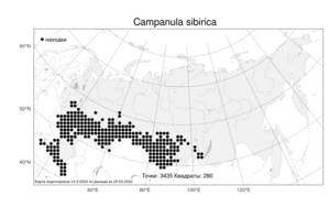 Campanula sibirica L., Atlas of the Russian Flora (FLORUS) (Russia)