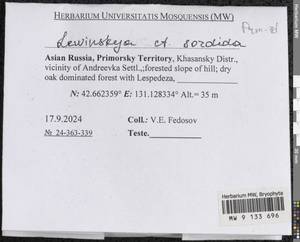 Lewinskya sordida (Sull. & Lesq.) F. Lara, Garilleti & Goffinet, Bryophytes, Bryophytes - Russian Far East (excl. Chukotka & Kamchatka) (B20) (Russia)