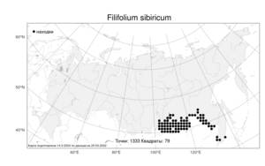 Filifolium sibiricum (L.) Kitam., Atlas of the Russian Flora (FLORUS) (Russia)