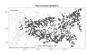 Ranunculus gmelinii DC., Atlas of the Russian Flora (FLORUS) (Russia)