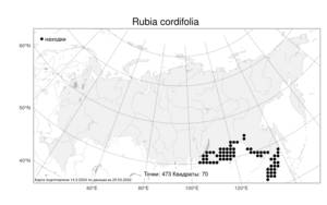 Rubia cordifolia L., Atlas of the Russian Flora (FLORUS) (Russia)