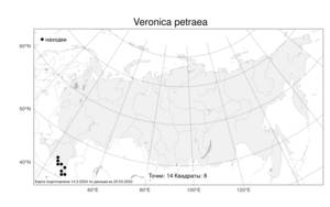 Veronica petraea (M. Bieb.) Steven, Atlas of the Russian Flora (FLORUS) (Russia)