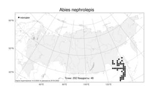 Abies nephrolepis (Trautv. ex Maxim.) Maxim., Atlas of the Russian Flora (FLORUS) (Russia)