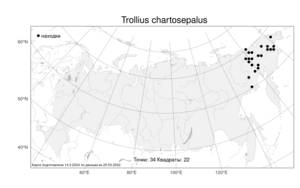 Trollius chartosepalus Schipcz., Atlas of the Russian Flora (FLORUS) (Russia)