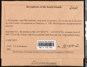 Bryophyta, Bryophytes, Bryophytes - Russian Far East (excl. Chukotka & Kamchatka) (B20) (Russia)