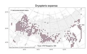 Dryopteris expansa (C. Presl) Fraser-Jenk. & Jermy, Atlas of the Russian Flora (FLORUS) (Russia)