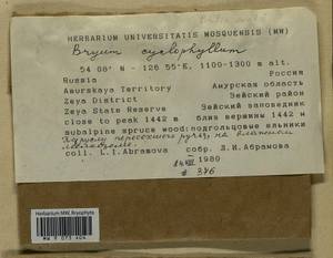 Ptychostomum cyclophyllum (Schwägr.) J.R. Spence, Bryophytes, Bryophytes - Russian Far East (excl. Chukotka & Kamchatka) (B20) (Russia)