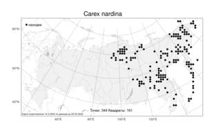 Carex nardina (Hornem.) Fr., Atlas of the Russian Flora (FLORUS) (Russia)